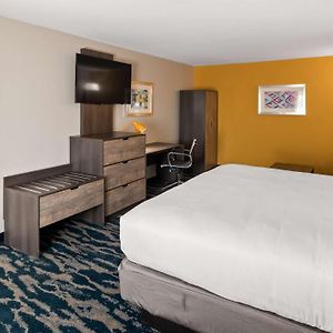 One-Bedroom King Suite